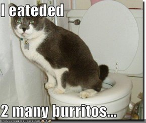 I eateded   2 many burritos...