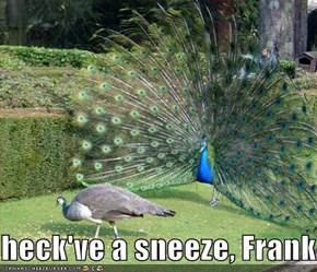 heck've a sneeze, Frank