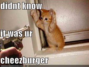 didnt know  it was ur  cheezburger
