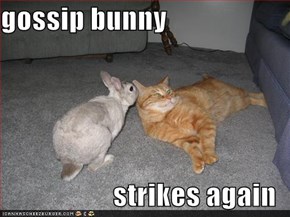 gossip bunny  strikes again