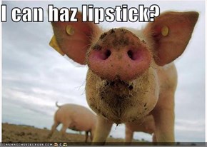 I can haz lipstick?