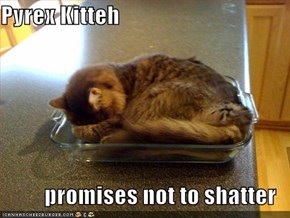 Pyrex Kitteh  promises not to shatter