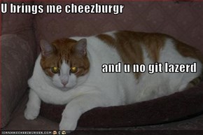 U brings me cheezburgr  and u no git lazerd