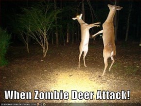 When Zombie Deer Attack!