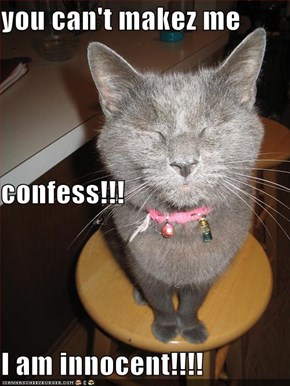 you can't makez me  confess!!! I am innocent!!!!