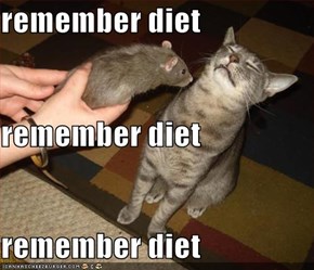 remember diet remember diet remember diet