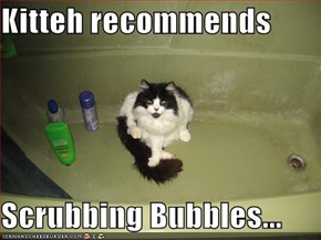 Kitteh recommends  Scrubbing Bubbles...