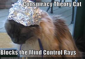 Conspiracy Theory Cat  Blocks the Mind Control Rays