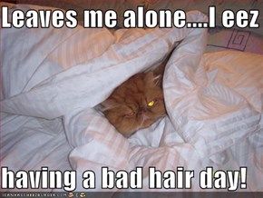 Leaves me alone....I eez  having a bad hair day!