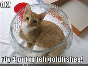 OK!  rdy 4 put in teh goldfishes!