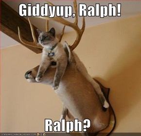 Giddyup, Ralph!  Ralph?