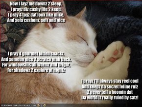 Now I layz me downz 2 sleep, I prayz diz cushy life 2 keep.I pray 4 toyz dat look like mice,And sofa cushonz, soft and niceI pray 4 gourmet kitteh snackz,And someun nice 2 scratch mah back,For windowsills all warmz and bright,For shadowz 2 exp