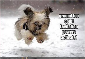 ground toocold!Levitationpowersactivate!
