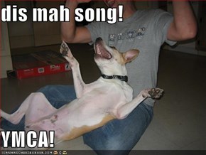 dis mah song!  YMCA!