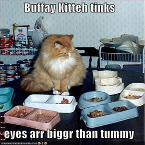 Buffay Kitteh tinks  eyes arr biggr than tummy