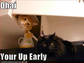 Ohai  Your Up Early