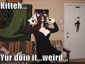 Kitteh...  Yur doin it...weird...