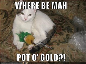 WHERE BE MAH  POT O' GOLD?!