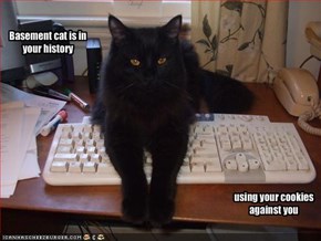 Basement cat is in your history