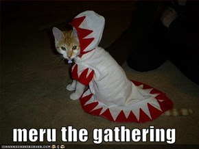 meru the gathering