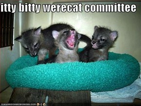 itty bitty werecat committee