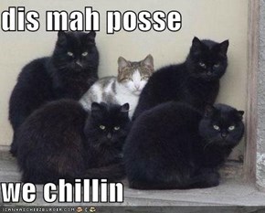 dis mah posse  we chillin
