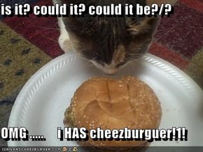 is it? could it? could it be?/?  OMG .....     i HAS cheezburguer!1!