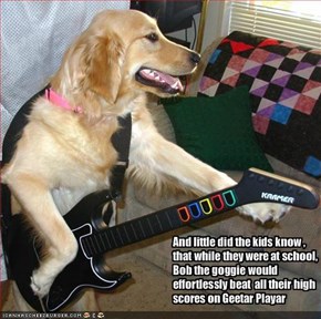 And little did the kids know , that while they were at school, Bob the goggie would effortlessly beat  all their high scores on Geetar Playar