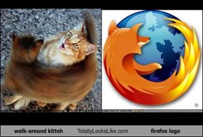 walk-around kitteh Totally Looks Like firefox logo