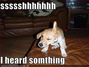 ssssshhhhhhh  I heard somthing