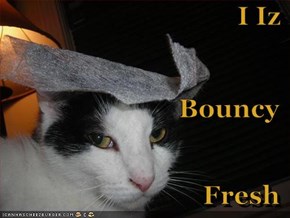 I Iz Bouncy Fresh
