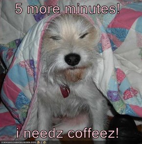 5 more minutes!  i needz coffeez!