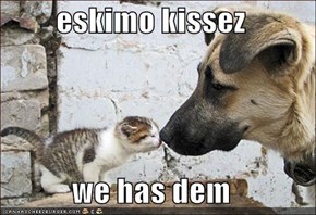 eskimo kissez  we has dem