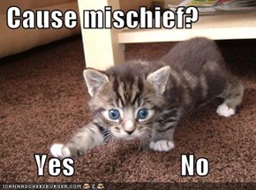 Cause mischief?  Yes                    No