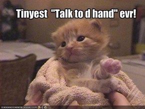 Tinyest  "Talk to d hand" evr!