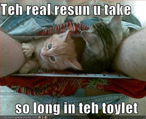 Teh real resun u take  so long in teh toylet