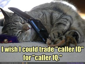 so do I kitteh...so do I