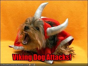 Viking Dog Attacks!