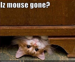 Iz mouse gone?