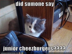 did sumone say  junior cheezburgers????