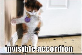 invisible accordion