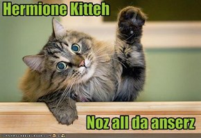 Hermione Kitteh