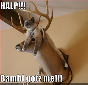 HALP!!!  Bambi gotz me!!!