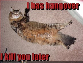 I has hangover  I kill you later