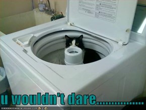 u wouldn't dare................
