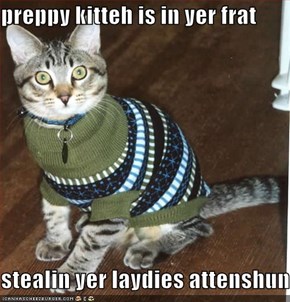 preppy kitteh is in yer frat  stealin yer laydies attenshun