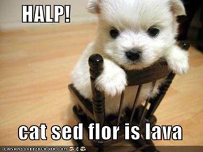 HALP!    cat sed flor is lava