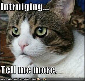 Intruiging...  Tell me more.