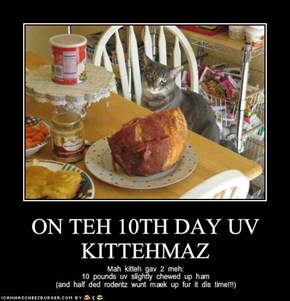 ON TEH 10TH DAY UV KITTEHMAZ