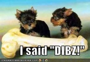 I said "DIBZ!"